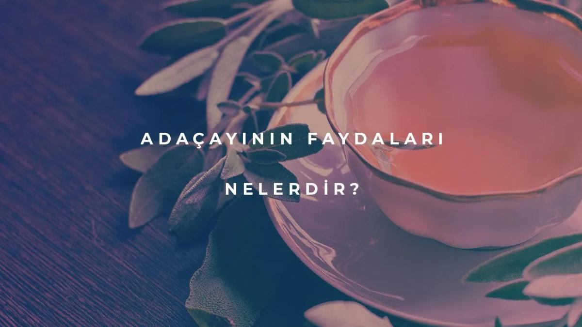 Adaçayının Faydaları Nelerdir?