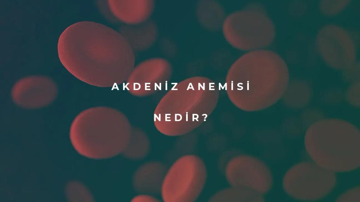 Akdeniz Anemisi Nedir?