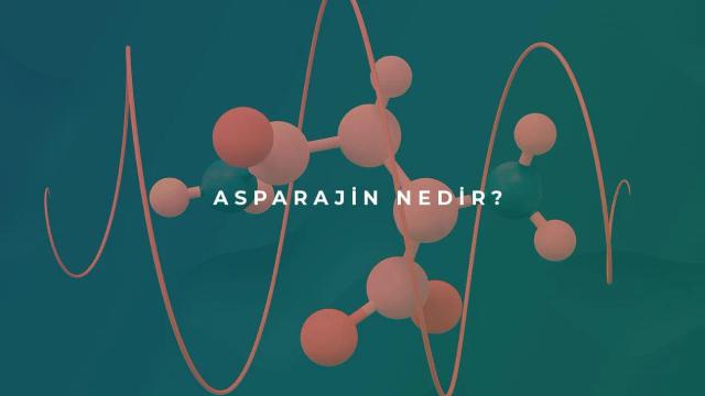 Asparajin Nedir?