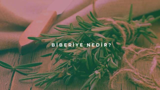 Biberiye Nedir?