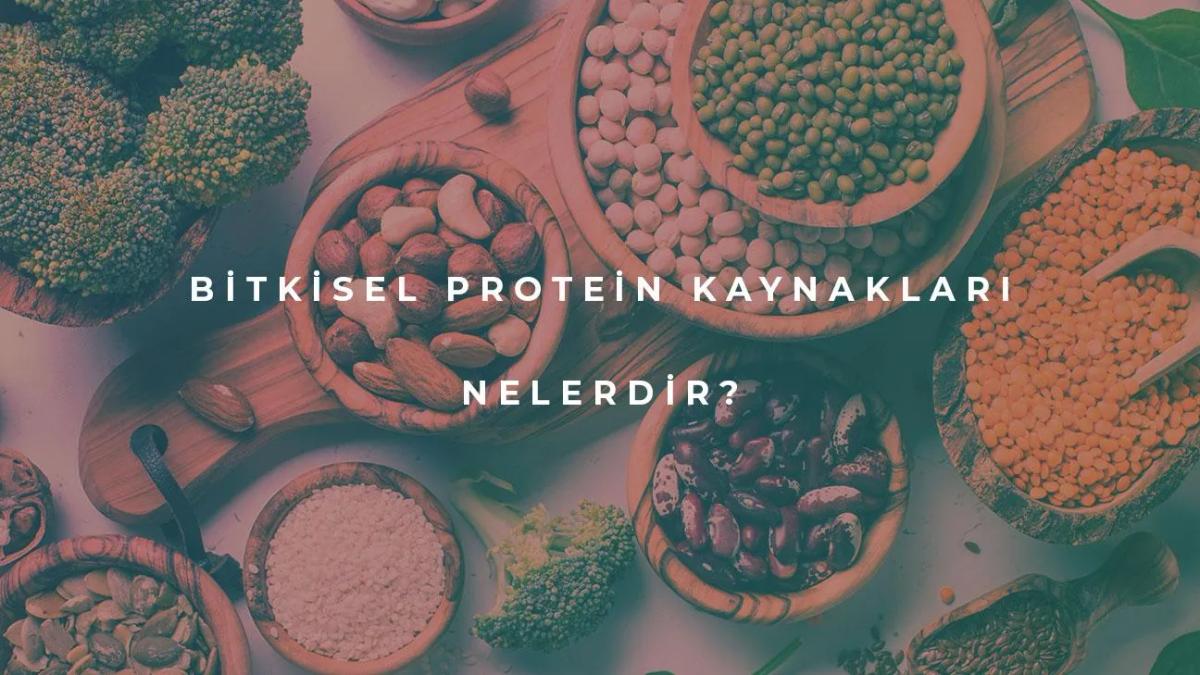 Bitkisel Protein Kaynakları Nedir?