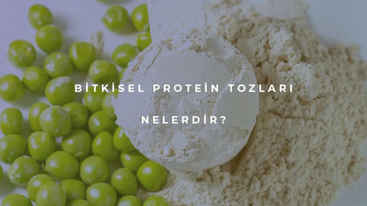 Bitkisel Protein Tozları Nelerdir?