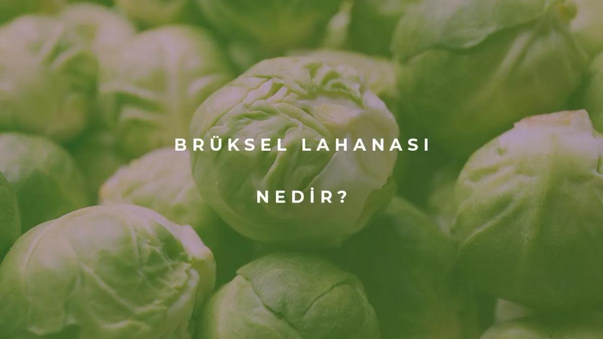 Brüksel Lahanası Nedir?