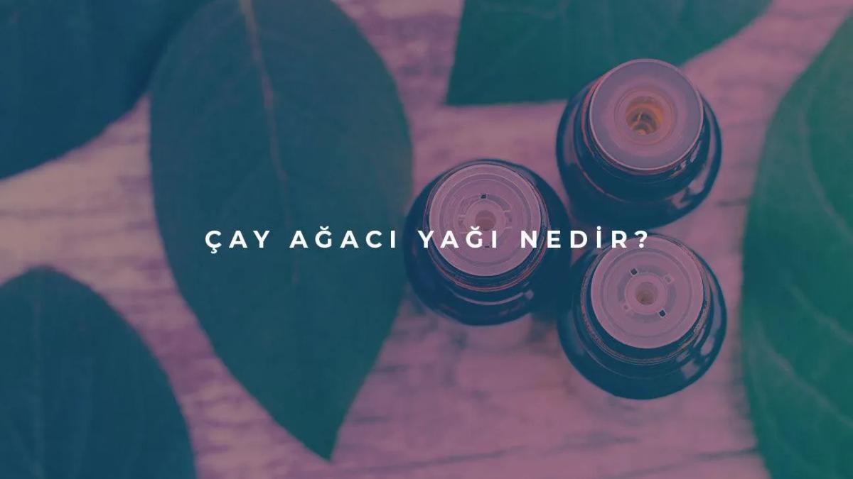 Çay Ağacı Yağı Nedir?