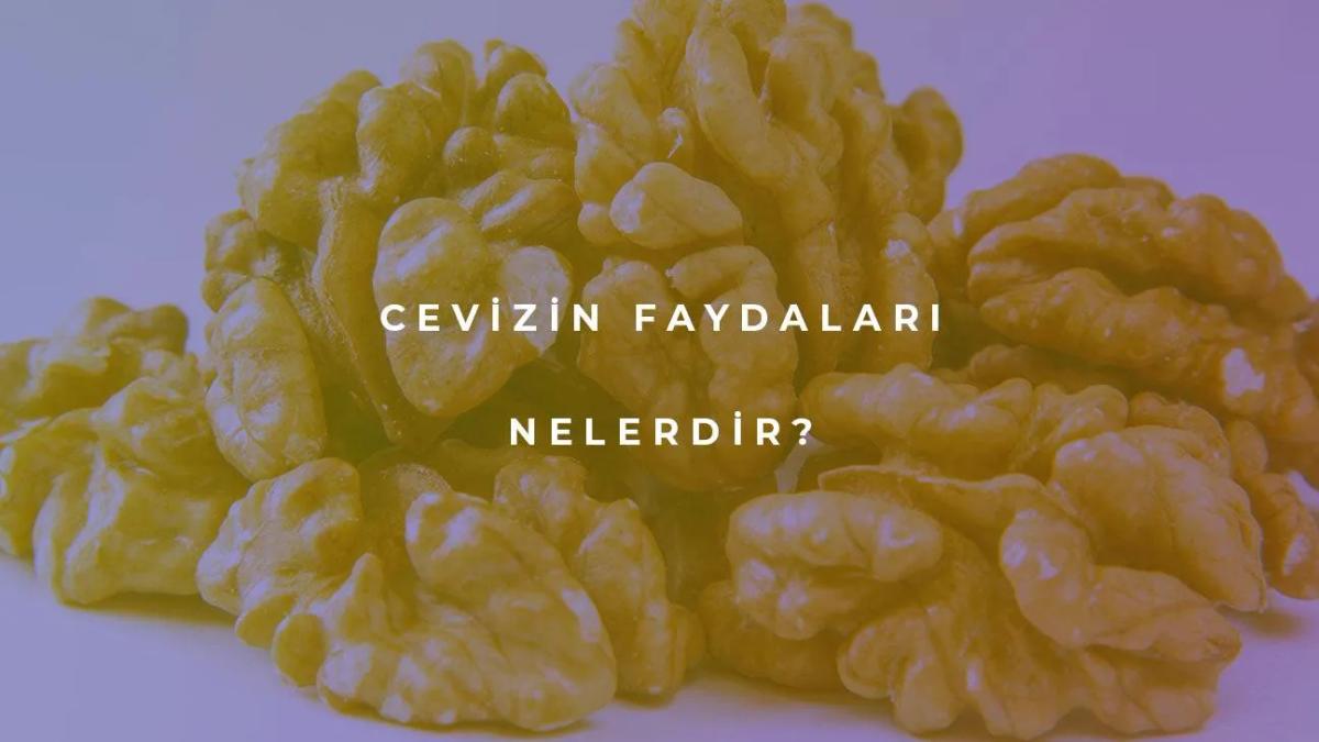 Cevizin Faydaları Nelerdir?