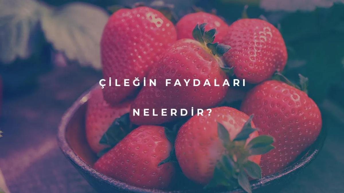 Çileğin Faydaları Nelerdir?