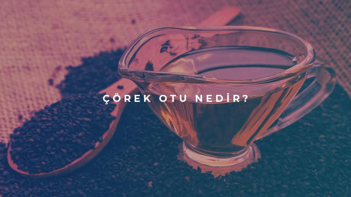 Çörek Otu Nedir?