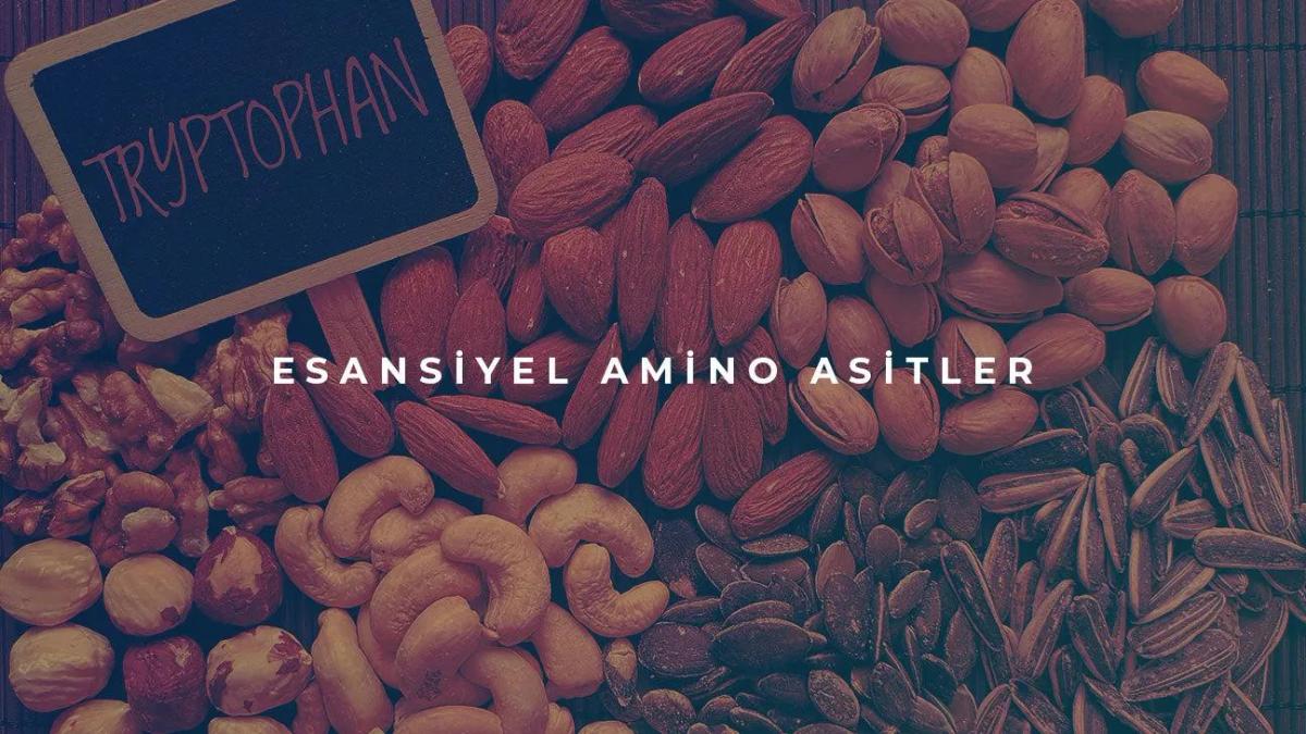 Esansiyel Amino Asitler Nelerdir?