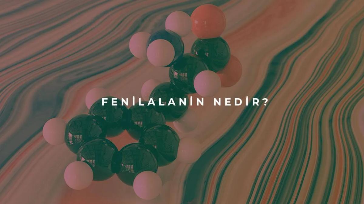 Fenilalanin Nedir?