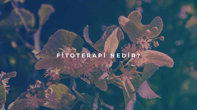 Fitoterapi Nedir?