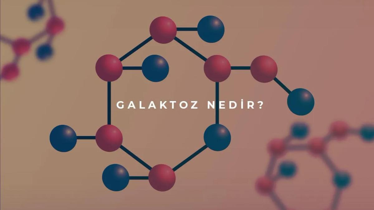 Galaktoz Nedir?