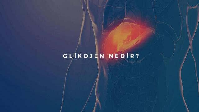 Glikojen Nedir?