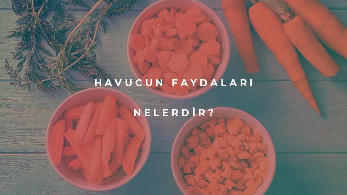 Havucun Faydaları Nelerdir?