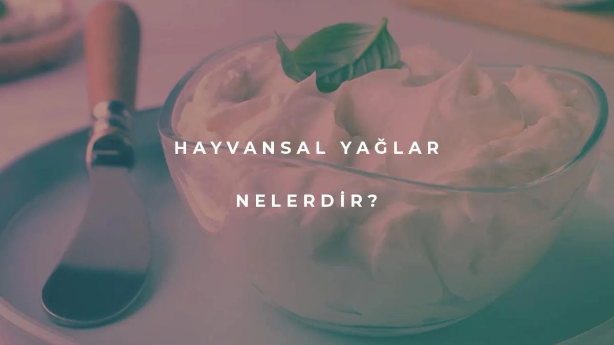 Hayvansal Yağlar Nelerdir?