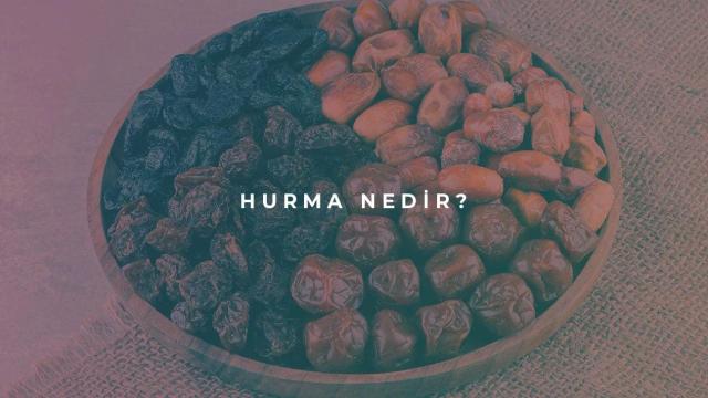 Hurma Nedir?