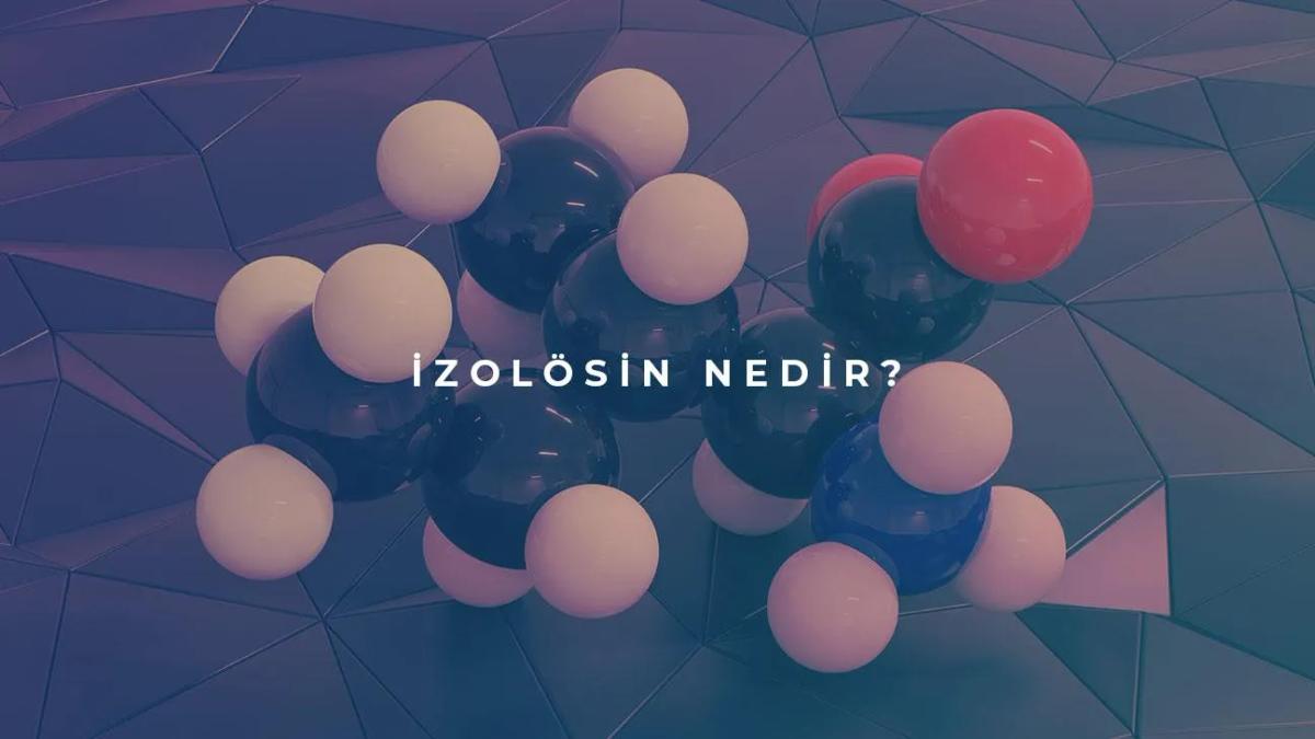 İzolösin Nedir?