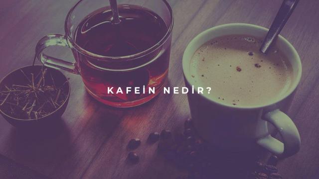 Kafein Nedir?