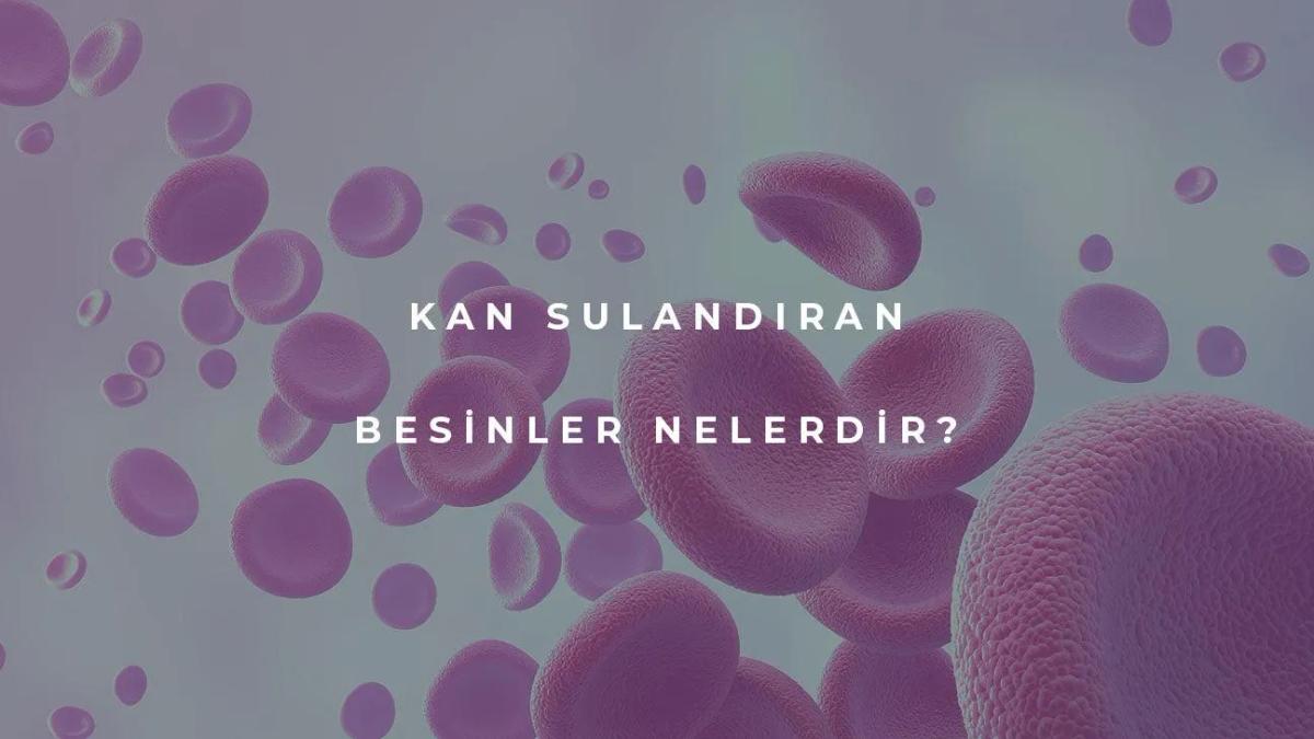 Kan Sulandıran Besinler Nelerdir?