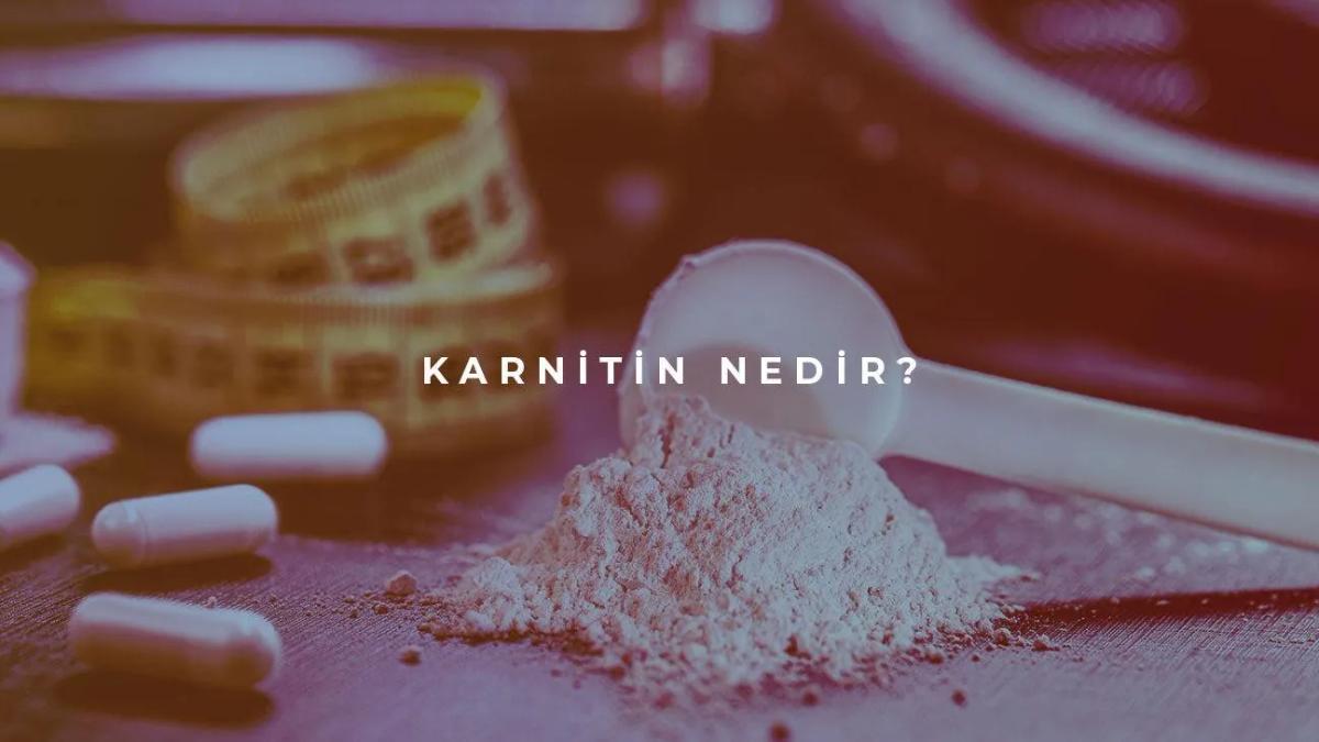 Karnitin Nedir?