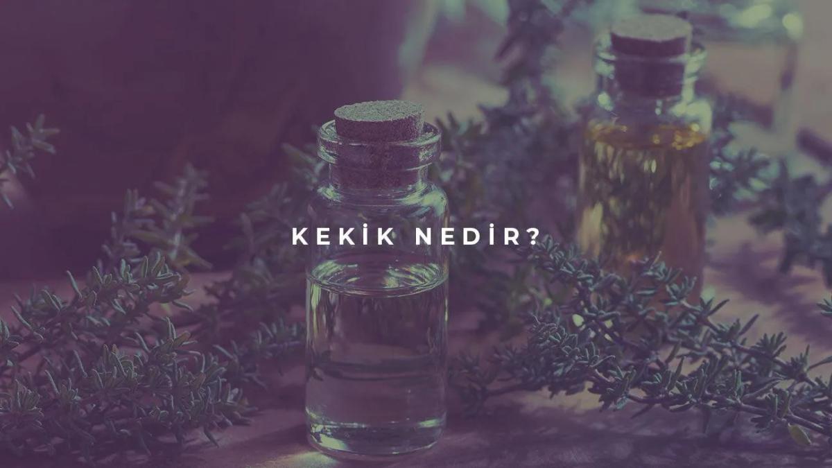 Kekik Nedir?