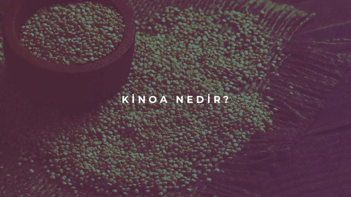 Kinoa Nedir?