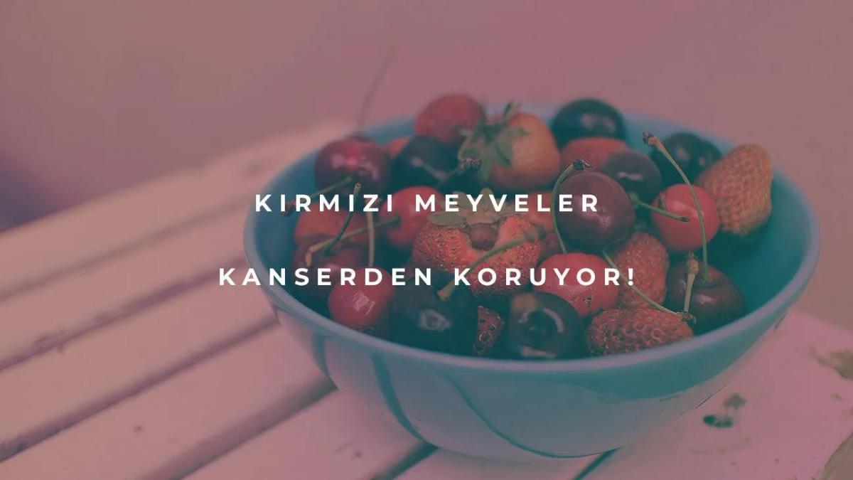 Kırmızı Meyveler Kanserden Koruyor!