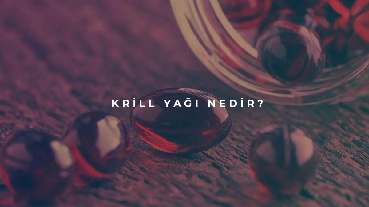 Krill Yağı Nedir?