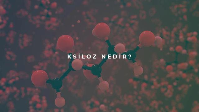 Ksiloz Nedir?