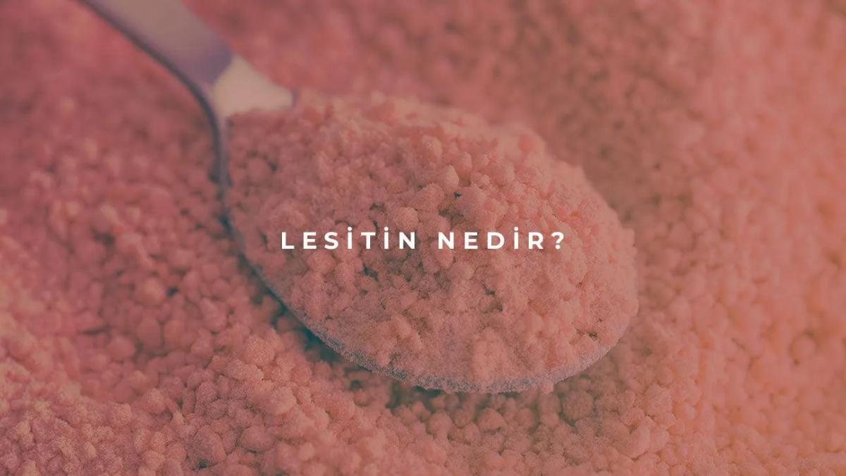 Lesitin Nedir?