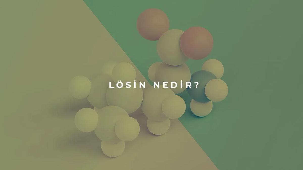 Lösin Nedir? L-Lösin (L-Leucine) Faydaları ve İçeren Besinler