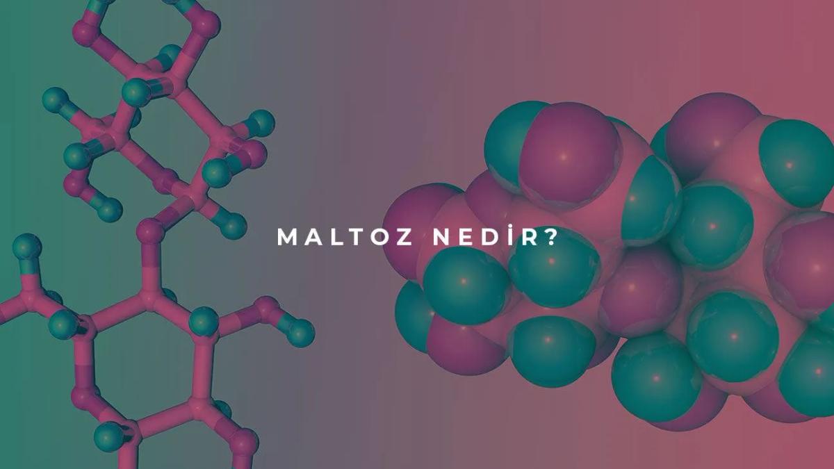 Maltoz Nedir?