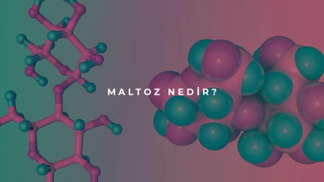 Maltoz Nedir?