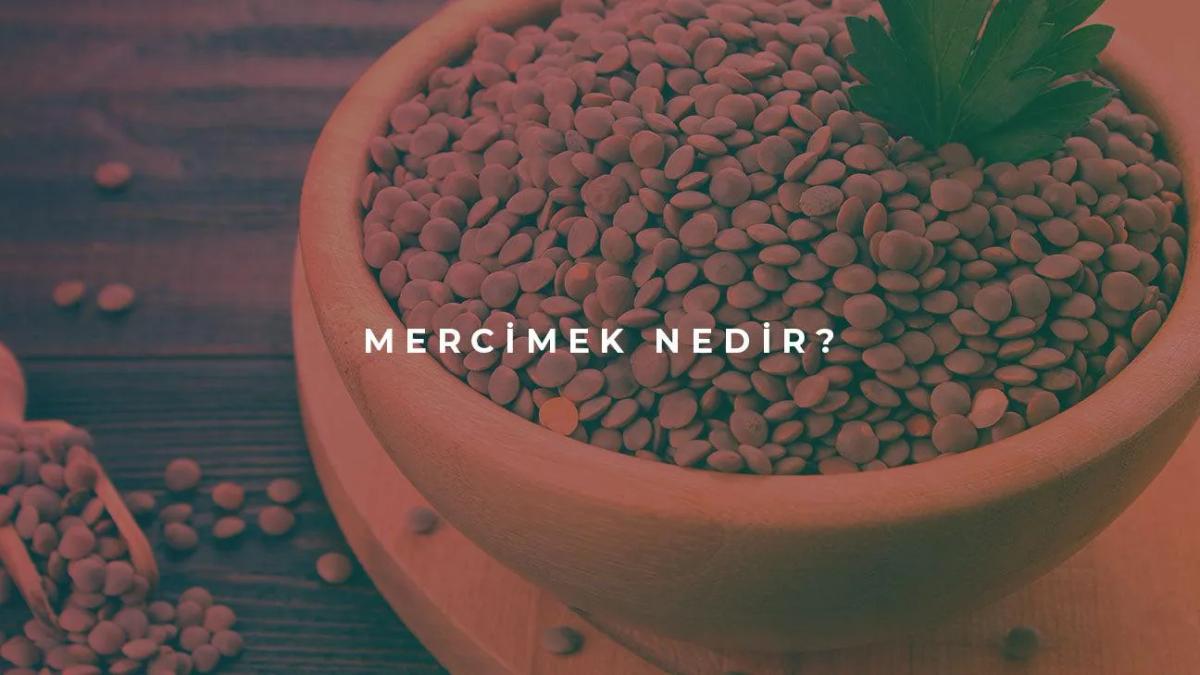 Mercimek Nedir?