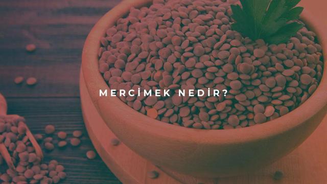 Mercimek Nedir?