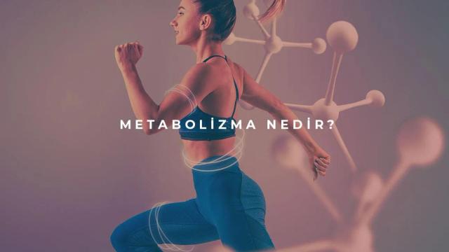 Metabolizma Nedir?