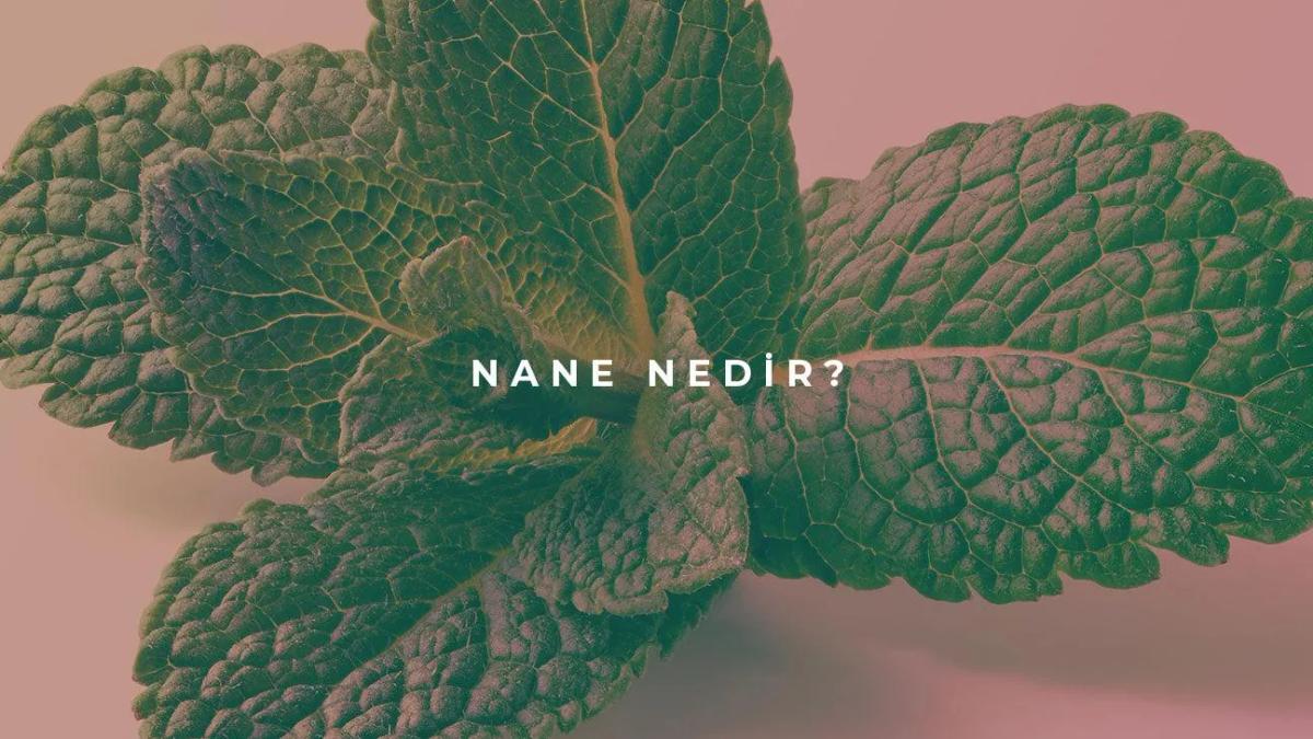 Nane Nedir?