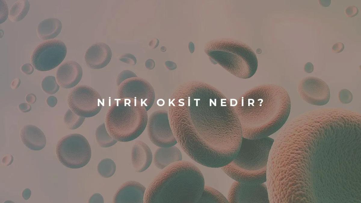 Nitrik Oksit Nedir?