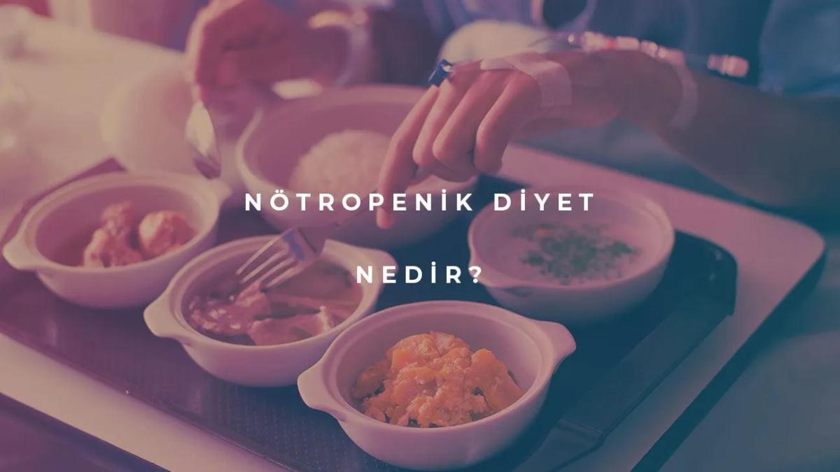 Nötropenik Diyet Nedir?