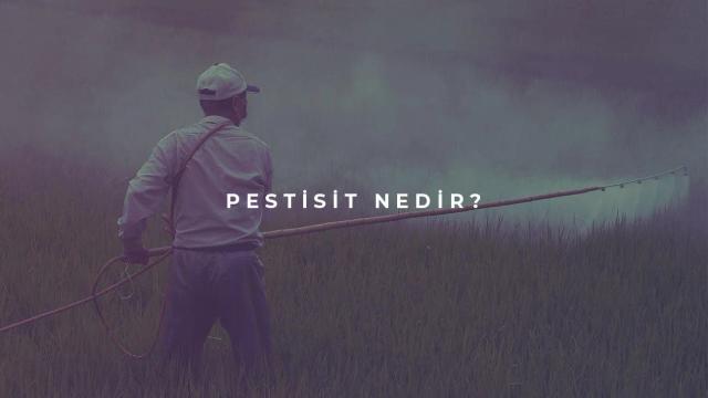 Pestisit Nedir?