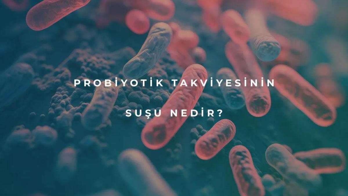 Probiyotik Takviyesinin Suşu Nasıl Seçilir?