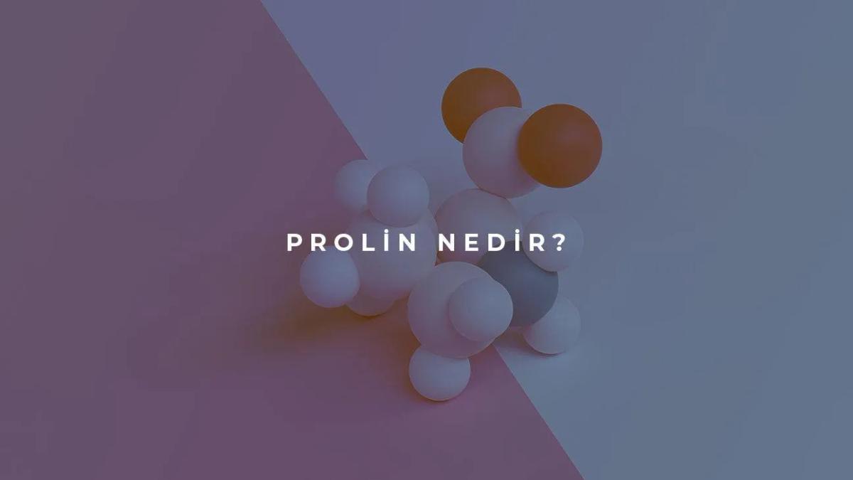 Prolin Nedir?