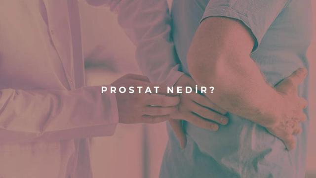 Prostat Nedir?