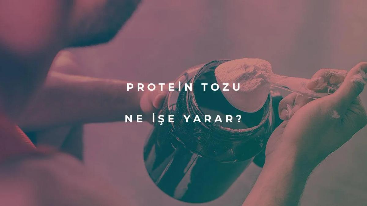 Protein Tozu Ne İşe Yarar?