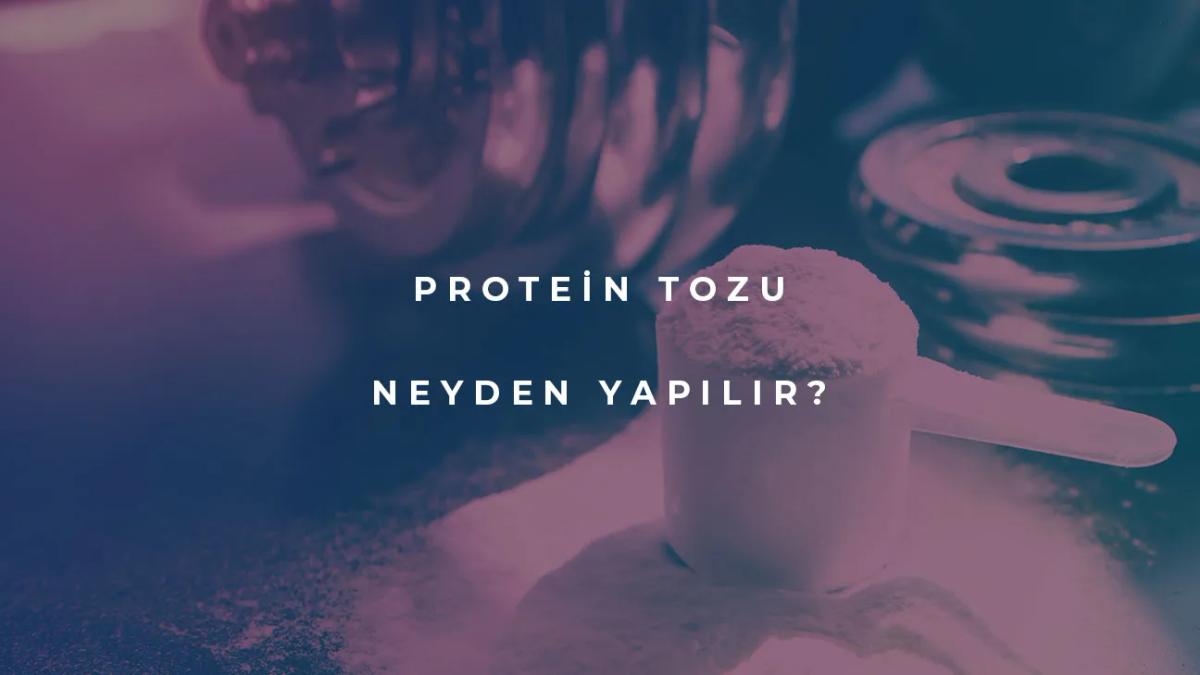 protein tozu neyden yapılır