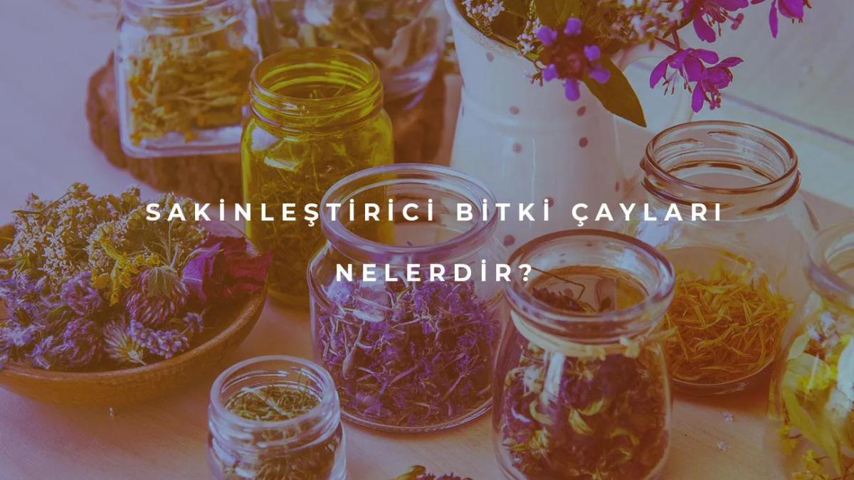 Sakinleştirici Bitki Çayları Nelerdir?