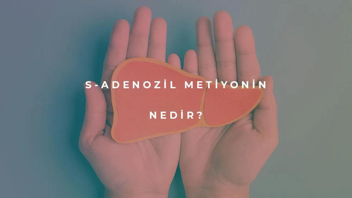 SAMe (S-Adenozil Metiyonin) Nedir?