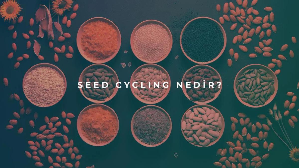 Seed Cycling Nedir?