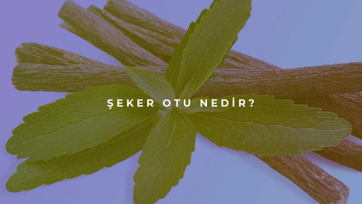 Şeker Otu Nedir?