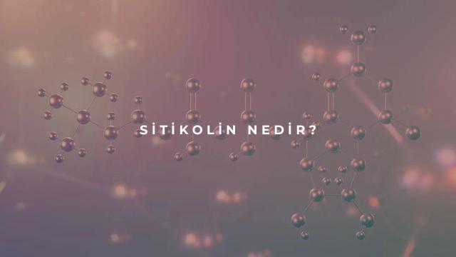 Sitikolin Nedir?