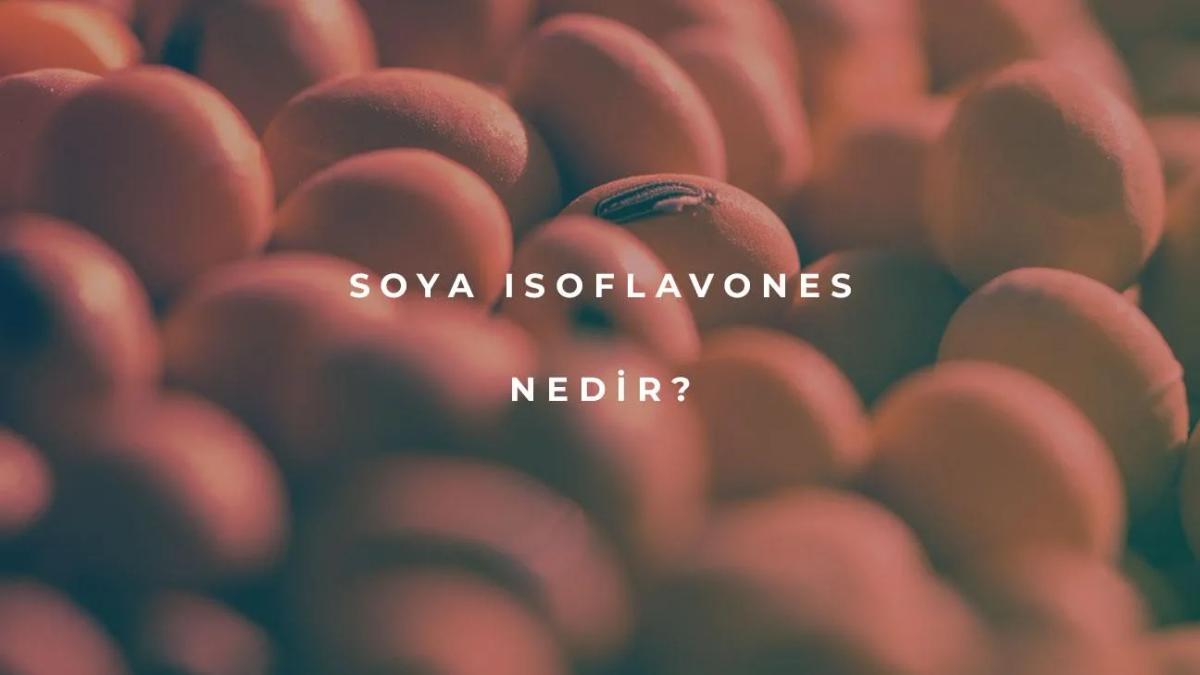 Soya Isoflavones Nedir?